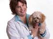 Veterinary Care For Your Pet When Travelling Into the UK