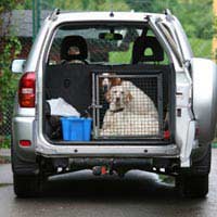 Pets Motor Home Caravan Car Portable
