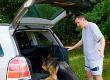 Carrying Pets in Caravans and Motorhomes