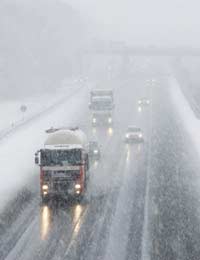 Dog Show Snow Car Motorway Dogs Old